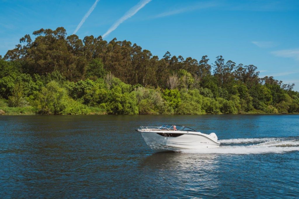 Bayliner C21 Cuddy OB (28)