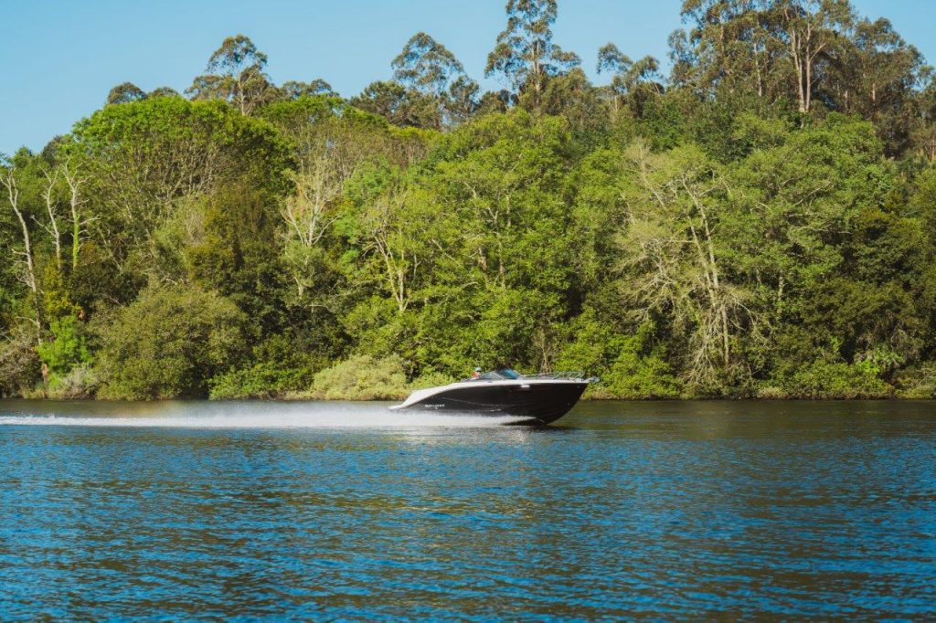 Bayliner C21 IB (17)