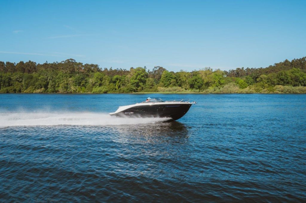 Bayliner C21 IB (21)