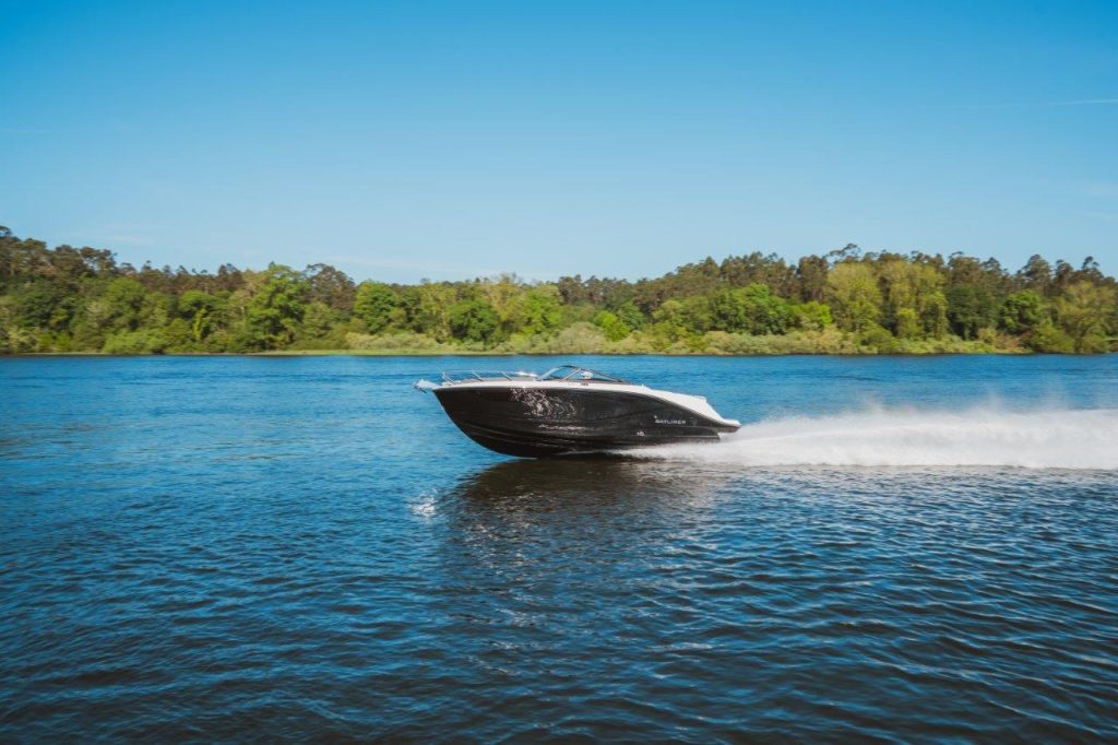 Bayliner C21 IB (22)