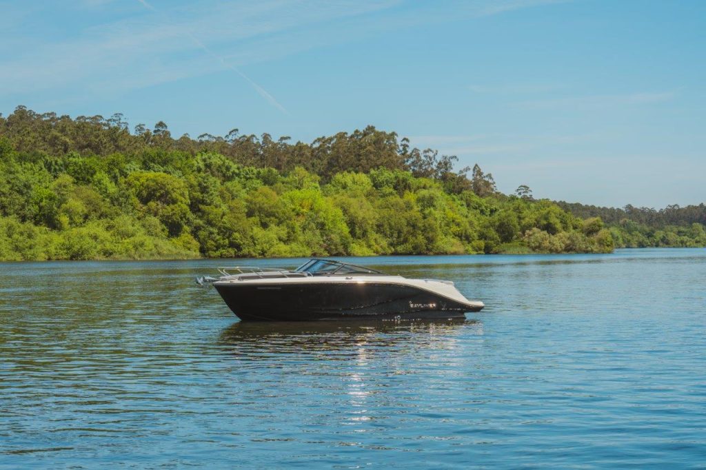 Bayliner C21 IB (47)