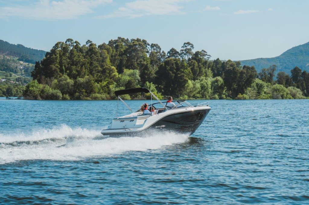 Bayliner C21 IB (84)