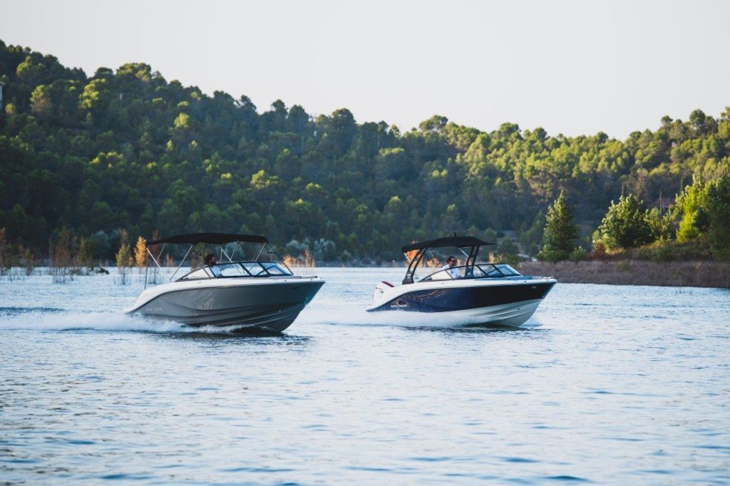 Bayliner V20i (1)