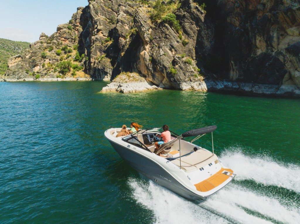 Bayliner V20i (41)