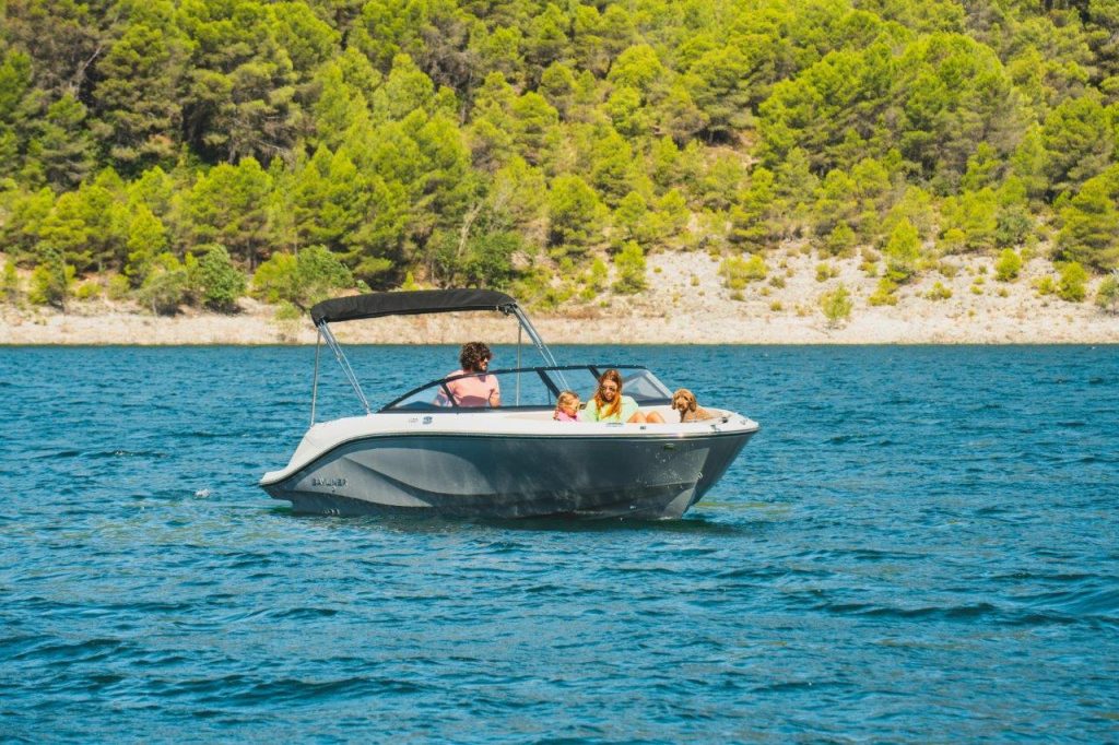 Bayliner V20i (51)