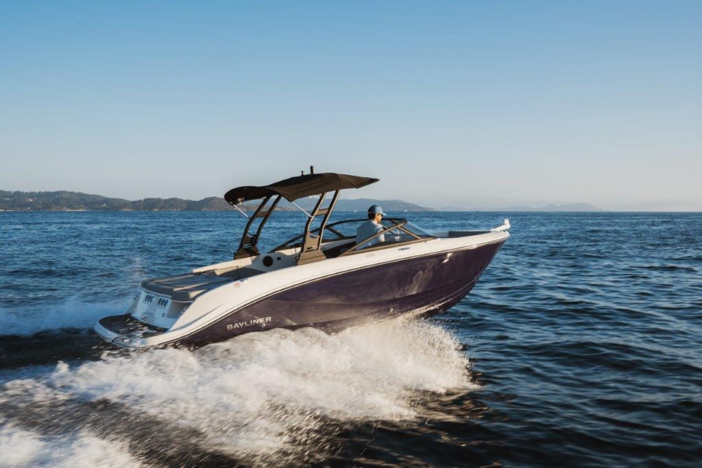Bayliner V22i (42)
