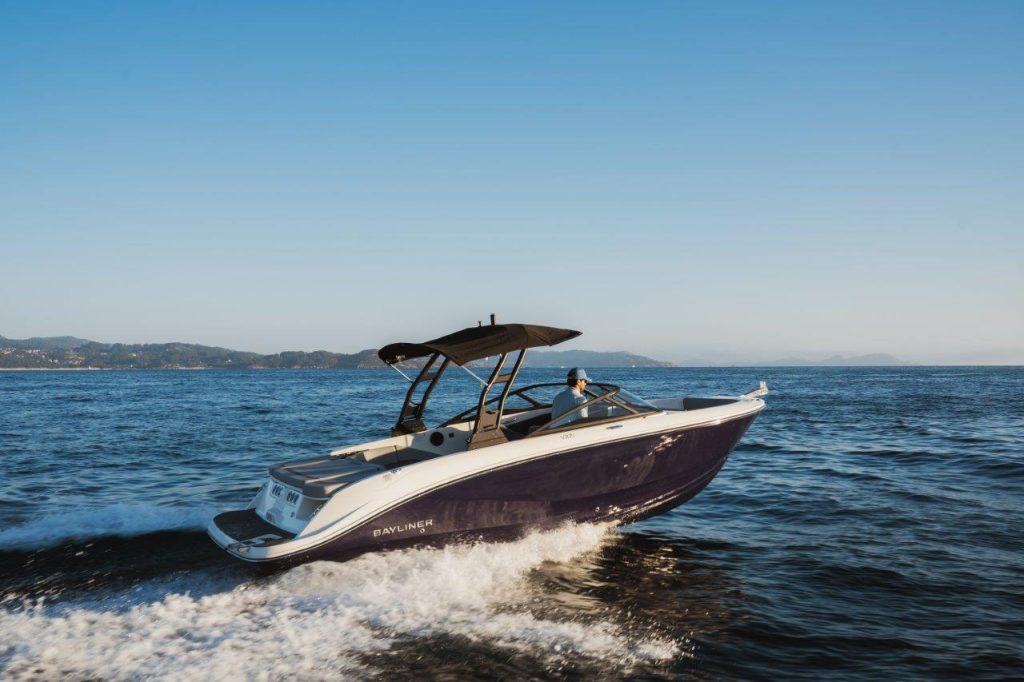 Bayliner V22i (43)