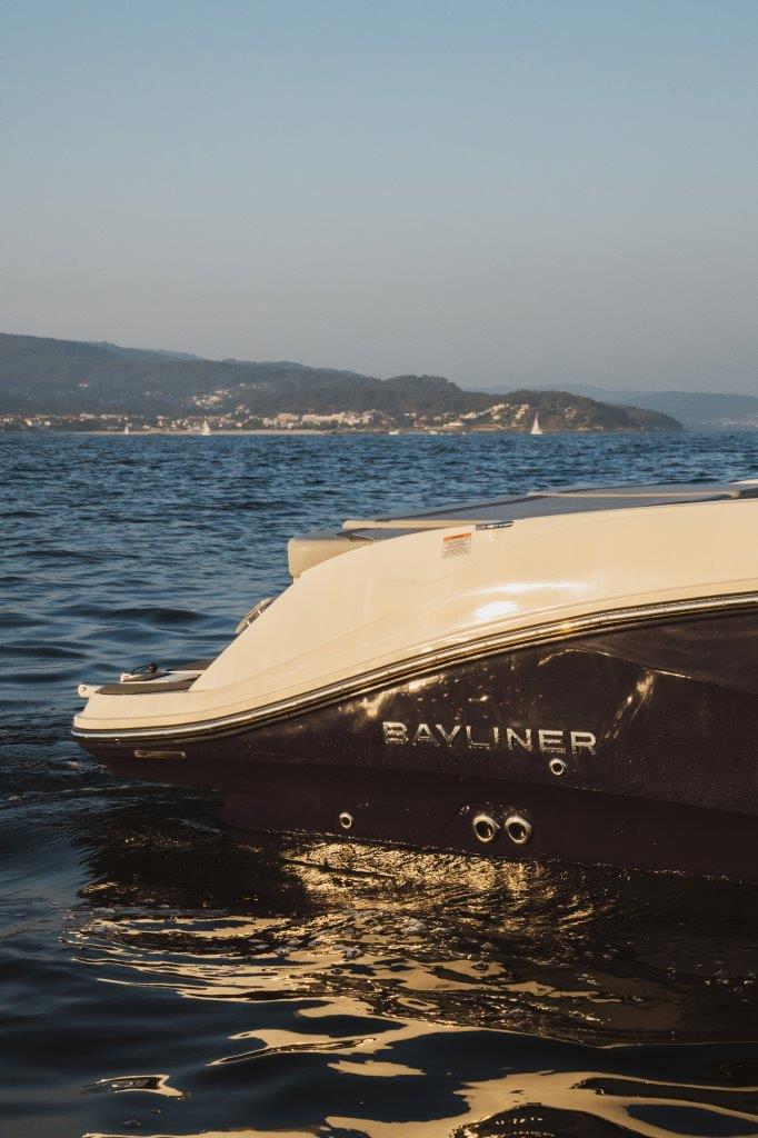 Bayliner V22i (50)