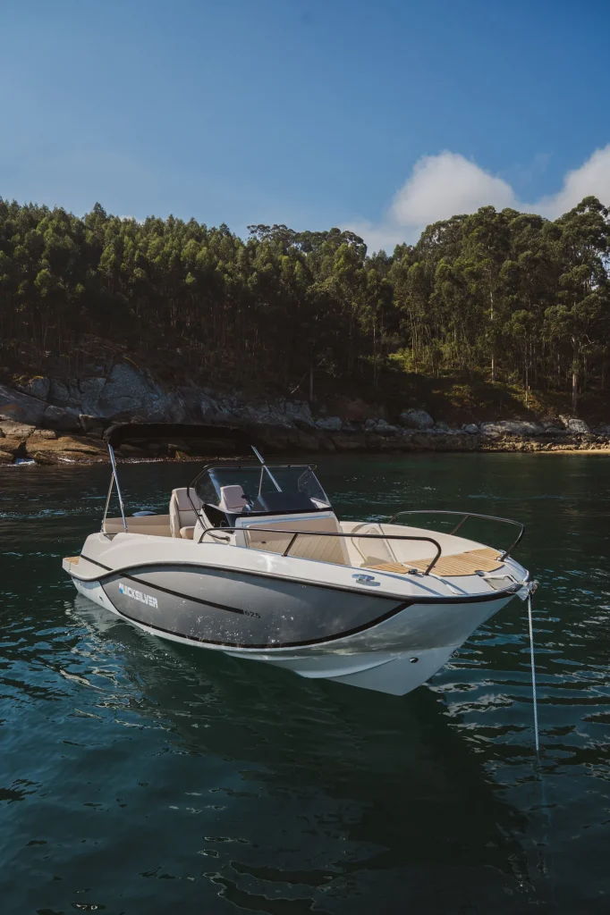 Quicksilver 625 Open141